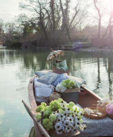 Orkun Koray Ünsal - / 